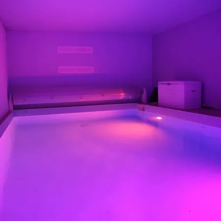 Avec Piscine Interieure * Holtzheim