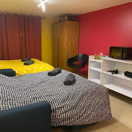 Apartment Avec Piscine Interieure Holtzheim