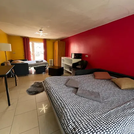Apartament Avec Piscine Interieure, Proche Strasbourg Holtzheim